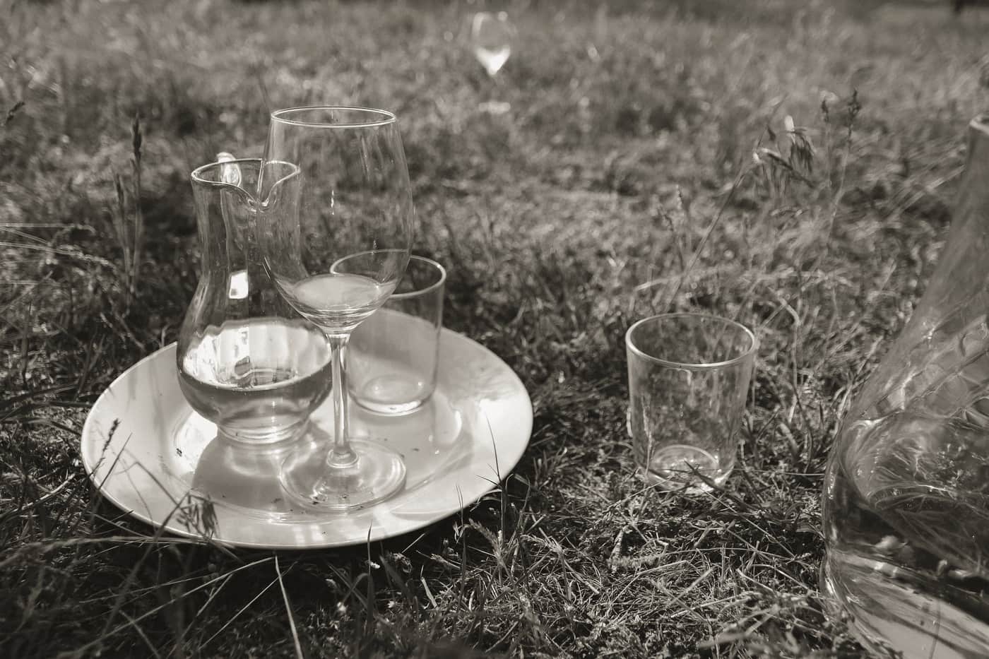 Wine glasses set out on grass at an outdoor picnic